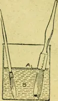 An illustration from Caras y caretas (1898)