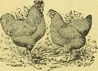 An illustration from Caras y caretas (1898)