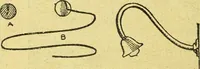 An illustration from Caras y caretas (1898)