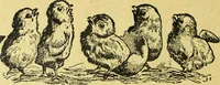 An illustration from Caras y caretas (1898)