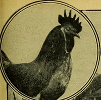 An illustration from Caras y caretas (1898)