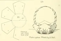 Picture 5 of 10 from Cardboard construction plate system (1917), leaf 22
