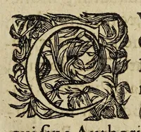 An illustration from Cardinalivm, archiepiscoporvm, episcoporvm, caeterorúmque qui ex vniuersis Regni prouincijs : (1625)