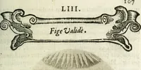 Picture 89 of 161 from Cardiomorpheoseos sive ex corde desumpta emblemata sacra (1645), leaf 118