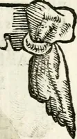 An illustration from Cardiomorpheoseos sive ex corde desumpta emblemata sacra (1645)