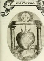Picture 106 of 161 from Cardiomorpheoseos sive ex corde desumpta emblemata sacra (1645), leaf 138