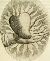 An illustration from Cardiomorpheoseos sive ex corde desumpta emblemata sacra (1645)