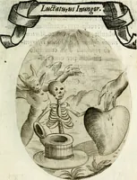Picture 151 of 161 from Cardiomorpheoseos sive ex corde desumpta emblemata sacra (1645), leaf 206