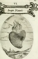 Picture 16 of 161 from Cardiomorpheoseos sive ex corde desumpta emblemata sacra (1645), leaf 22