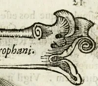 Picture 24 of 161 from Cardiomorpheoseos sive ex corde desumpta emblemata sacra (1645), leaf 32