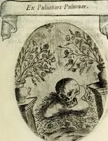 Picture 35 of 161 from Cardiomorpheoseos sive ex corde desumpta emblemata sacra (1645), leaf 46