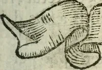 An illustration from Cardiomorpheoseos sive ex corde desumpta emblemata sacra (1645)
