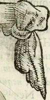 Picture 40 of 161 from Cardiomorpheoseos sive ex corde desumpta emblemata sacra (1645), leaf 50