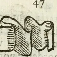 Picture 44 of 161 from Cardiomorpheoseos sive ex corde desumpta emblemata sacra (1645), leaf 58