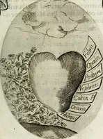 Picture 49 of 161 from Cardiomorpheoseos sive ex corde desumpta emblemata sacra (1645), leaf 66