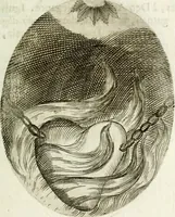 Picture 73 of 161 from Cardiomorpheoseos sive ex corde desumpta emblemata sacra (1645), leaf 94