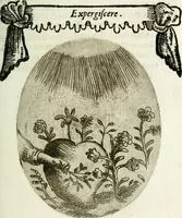 Picture 74 of 161 from Cardiomorpheoseos sive ex corde desumpta emblemata sacra (1645), leaf 96