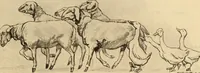 Picture 208 of 454 from Caricature. ed 1908 (1908), leaf 104