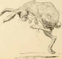 An illustration from Caricature. ed 1908 (1908)