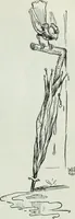 An illustration from Caricature; wit and humor of a nation in picture, song and story (1911)
