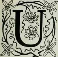 An illustration from Caricature; wit and humor of a nation in picture, song and story (1911)