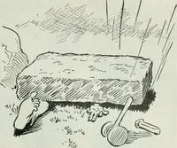 An illustration from Caricature; wit and humor of a nation in picture, song and story (1911)
