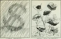 An illustration from Caricature; wit and humor of a nation in picture, song and story (1911)