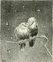 An illustration from Caricature; wit and humor of a nation in picture, song and story (1911)