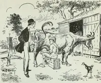 An illustration from Caricature; wit and humor of a nation in picture, song and story (1911)