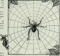 An illustration from Caricature; wit and humor of a nation in picture, song and story (1911)