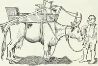 An illustration from Caricature; wit and humor of a nation in picture, song and story (1911)