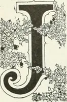 An illustration from Caricature; wit and humor of a nation in picture, song and story (1911)