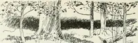 An illustration from Caricature; wit and humor of a nation in picture, song and story (1911)
