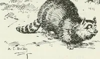 An illustration from Caricature; wit and humor of a nation in picture, song and story (1911)