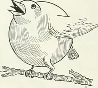 An illustration from Caricature; wit and humor of a nation in picture, song and story (1911)
