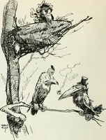 An illustration from Caricature; wit and humor of a nation in picture, song and story (1911)