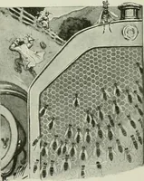 Picture 231 of 262 from Caricature. Wit and humor of a nation in picture, song and story (1914), leaf 122