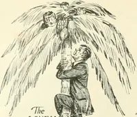 Picture 19 of 262 from Caricature. Wit and humor of a nation in picture, song and story (1914), leaf 13