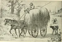 Picture 76 of 262 from Caricature. Wit and humor of a nation in picture, song and story (1914), leaf 43