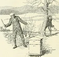 Picture 155 of 262 from Caricature. Wit and humor of a nation in picture, song and story (1914), leaf 85