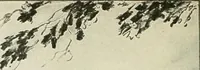 An illustration from Caricature. Wit and humor of a nation in picture, song and story (1914)