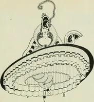 Picture 175 of 262 from Caricature. Wit and humor of a nation in picture, song and story (1914), leaf 96
