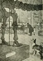 Picture 200 of 230 from Caricature. Wit and humor of a nation in picture, song and story (1914), leaf 113