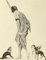 Picture 115 of 230 from Caricature. Wit and humor of a nation in picture, song and story (1914), leaf 65
