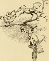 Picture 288 of 412 from Caricature. ed 1911 (1911), leaf 155