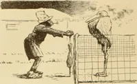 Picture 386 of 412 from Caricature. ed 1911 (1911), leaf 203