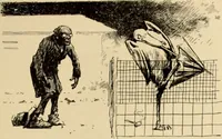 Picture 389 of 412 from Caricature. ed 1911 (1911), leaf 204