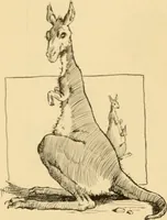 Picture 145 of 412 from Caricature. ed 1911 (1911), leaf 87