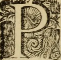 An illustration from Carmina (1689)