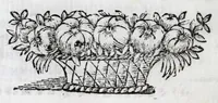 An illustration from Carmina marmoribus Arundelianis fortasse perenniora : in promotione ad sacram purpuram eminentissimi & reuerendissimi principis, Philippi Thomae Houuardi, ex Norfolciae ducibus, & comitibus Arundeliae &c. S.R.E. cardinalis (1676)